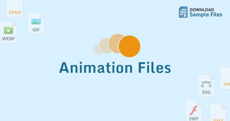Choosing The Right Animation File Format